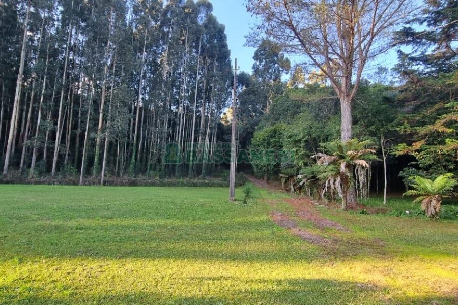 Chácara com 300m², 4 dormitórios, no bairro Fazenda Souza em Caxias do Sul para Comprar