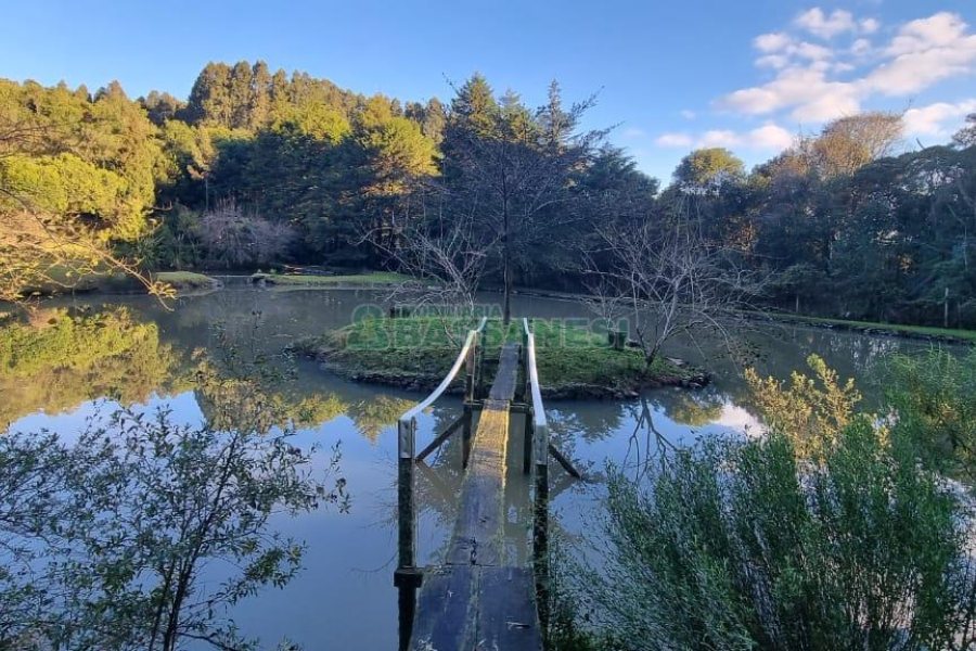 Chácara com 300m², 4 dormitórios, no bairro Fazenda Souza em Caxias do Sul para Comprar