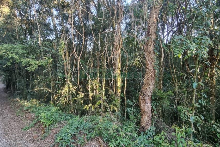 Chácara com 300m², 4 dormitórios, no bairro Fazenda Souza em Caxias do Sul para Comprar