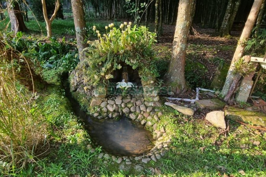 Chácara com 300m², 4 dormitórios, no bairro Fazenda Souza em Caxias do Sul para Comprar