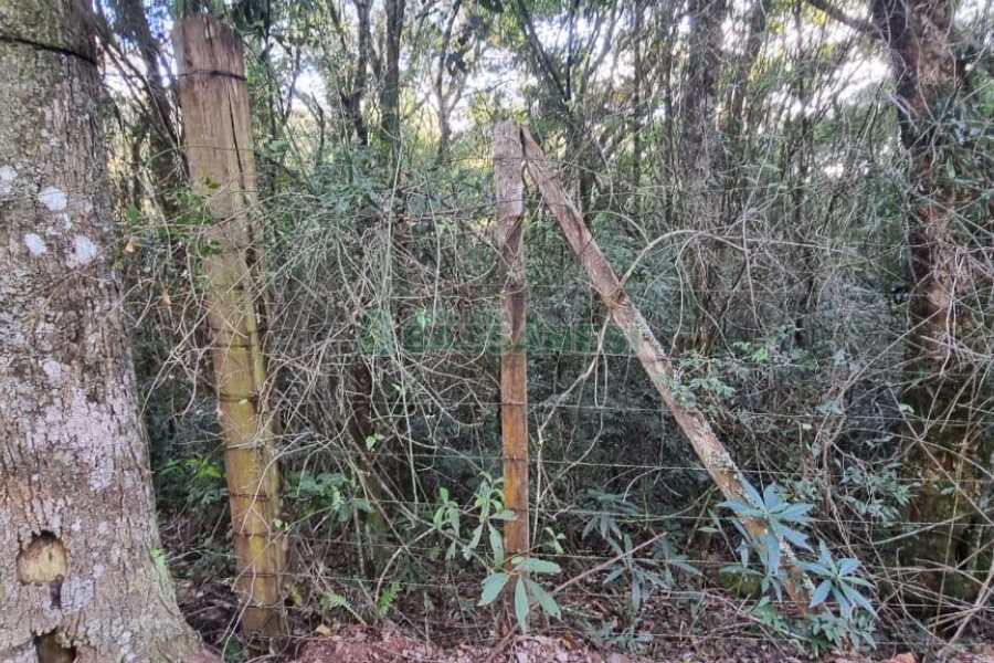 Chácara com 300m², 4 dormitórios, no bairro Fazenda Souza em Caxias do Sul para Comprar