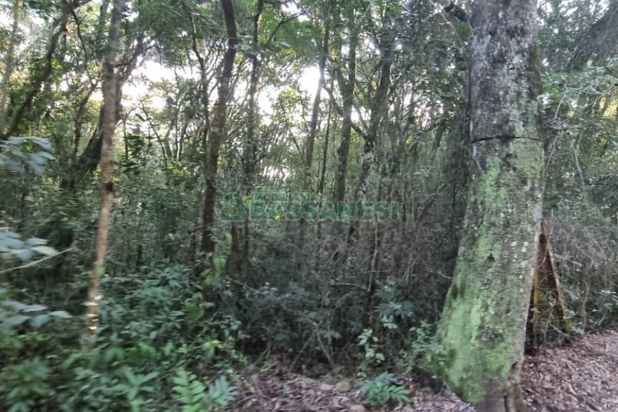 Chácara com 300m², 4 dormitórios, no bairro Fazenda Souza em Caxias do Sul para Comprar