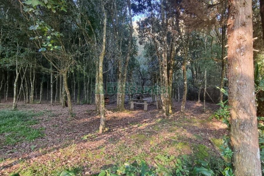 Chácara com 300m², 4 dormitórios, no bairro Fazenda Souza em Caxias do Sul para Comprar