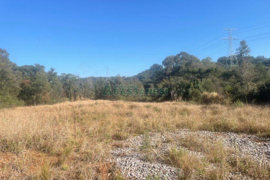 Chácara, no bairro Pedancino em Caxias do Sul para Comprar