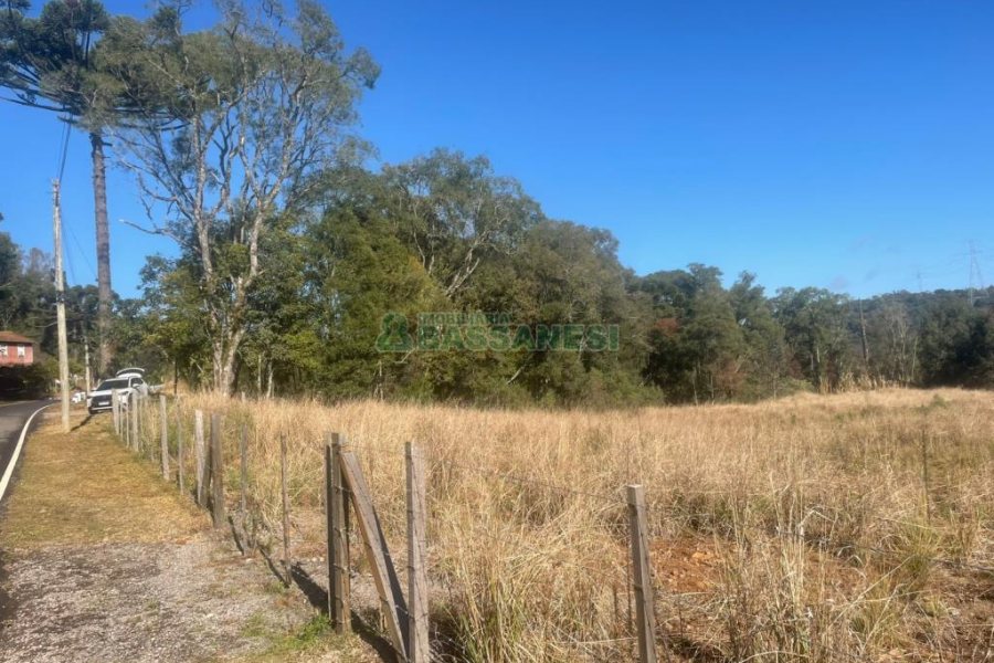 Chácara, no bairro Pedancino em Caxias do Sul para Comprar