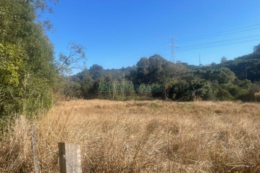 Chácara, no bairro Pedancino em Caxias do Sul para Comprar