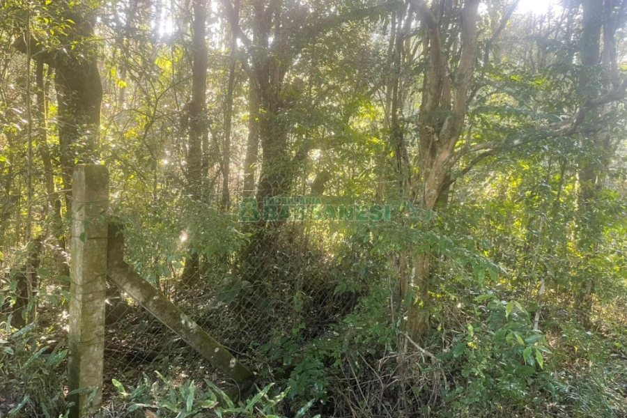 Chácara, no bairro Pedancino em Caxias do Sul para Comprar