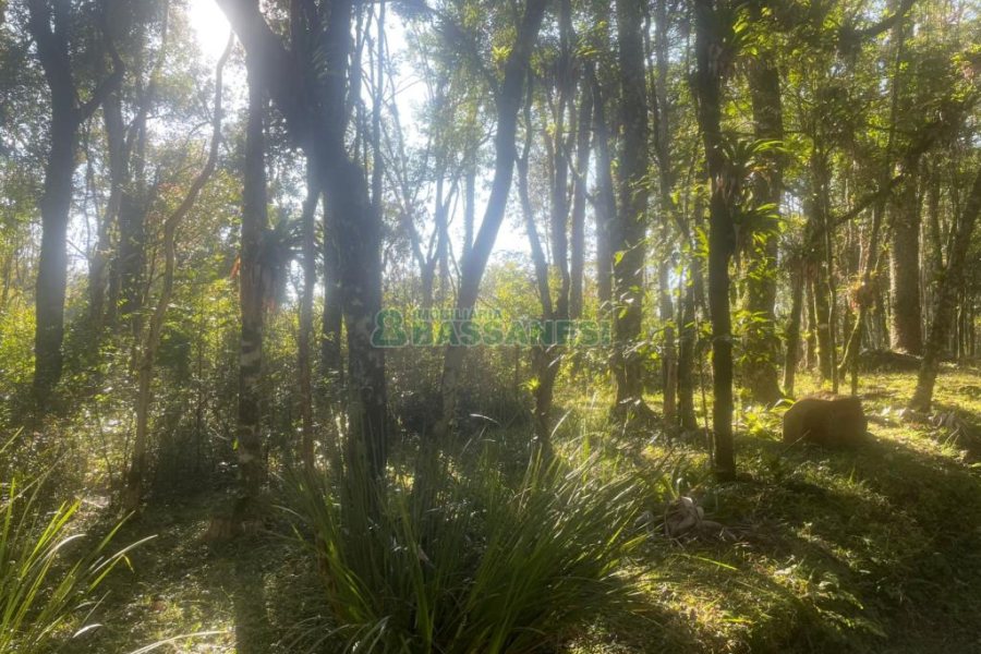 Chácara, no bairro Pedancino em Caxias do Sul para Comprar