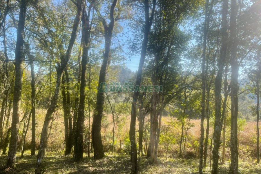 Chácara, no bairro Pedancino em Caxias do Sul para Comprar