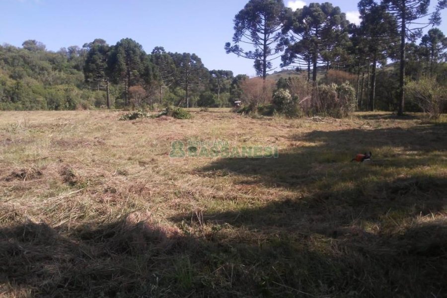 Chácara, no bairro Criúva em Caxias do Sul para Comprar