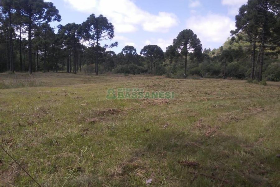 Chácara, no bairro Criúva em Caxias do Sul para Comprar