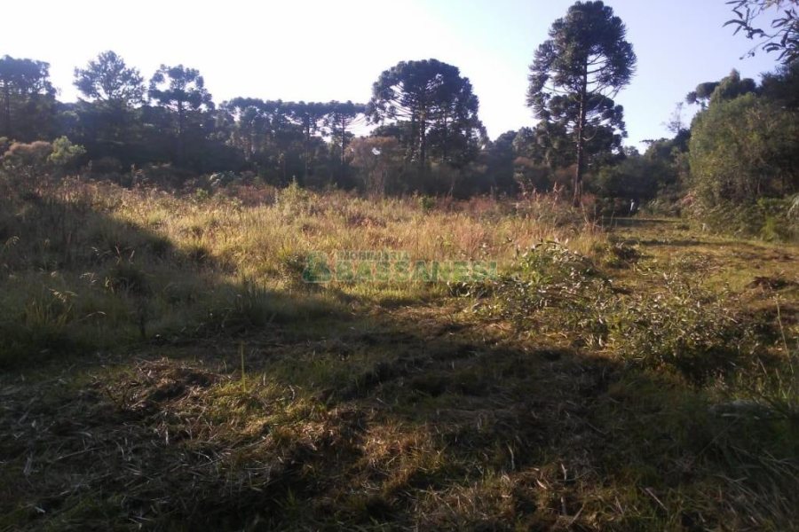 Chácara, no bairro Criúva em Caxias do Sul para Comprar