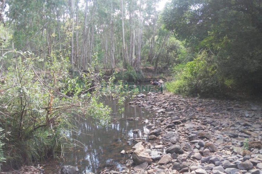 Chácara, no bairro Criúva em Caxias do Sul para Comprar