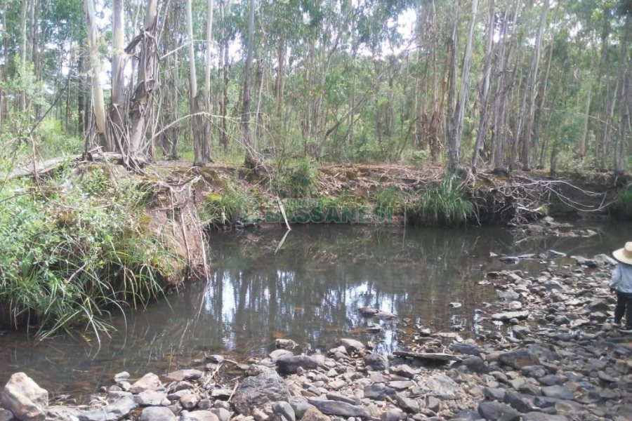 Chácara, no bairro Criúva em Caxias do Sul para Comprar