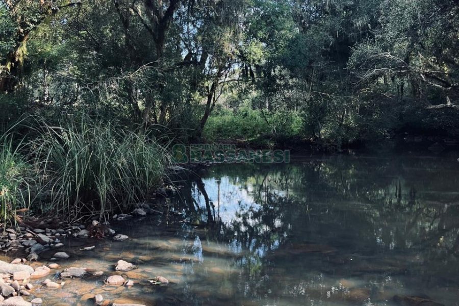 Chácara, no bairro Criúva em Caxias do Sul para Comprar