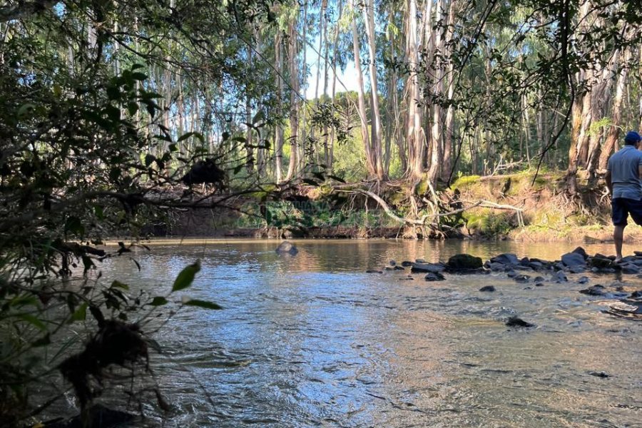 Chácara, no bairro Criúva em Caxias do Sul para Comprar