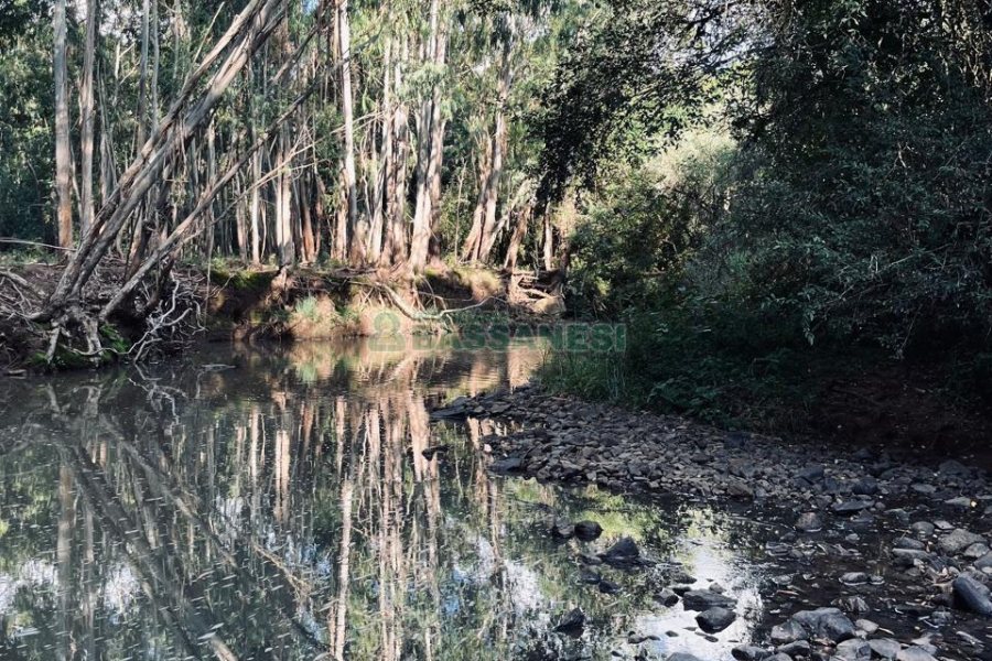 Chácara, no bairro Criúva em Caxias do Sul para Comprar