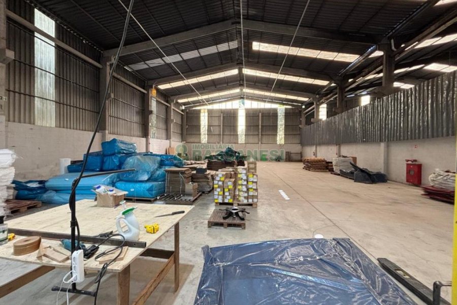 Pavilhão com 1200m², no bairro São Luiz em Caxias do Sul para Alugar