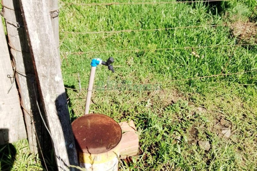 Terreno com 1320m², no bairro Linha 40 em Caxias do Sul para Comprar