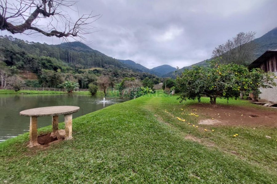 Chácara com 240000m², 4 dormitórios, no bairro Vila Cristina em Caxias do Sul para Comprar