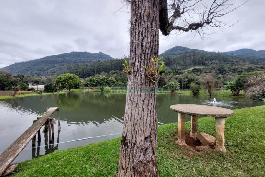 Chácara com 240000m², 4 dormitórios, no bairro Vila Cristina em Caxias do Sul para Comprar