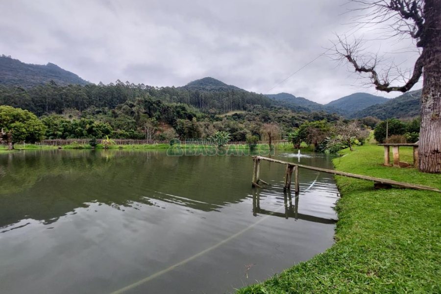 Chácara com 240000m², 4 dormitórios, no bairro Vila Cristina em Caxias do Sul para Comprar