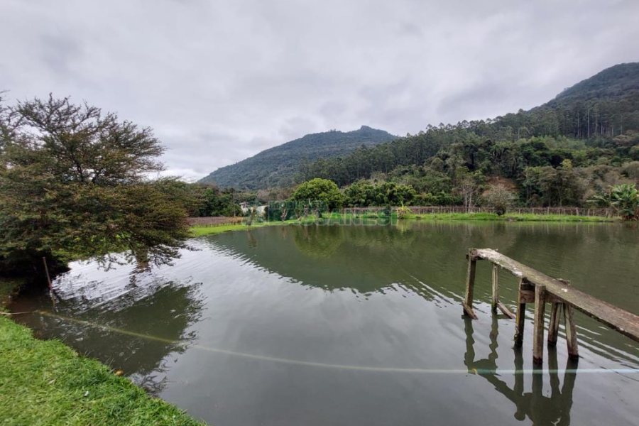 Chácara com 240000m², 4 dormitórios, no bairro Vila Cristina em Caxias do Sul para Comprar