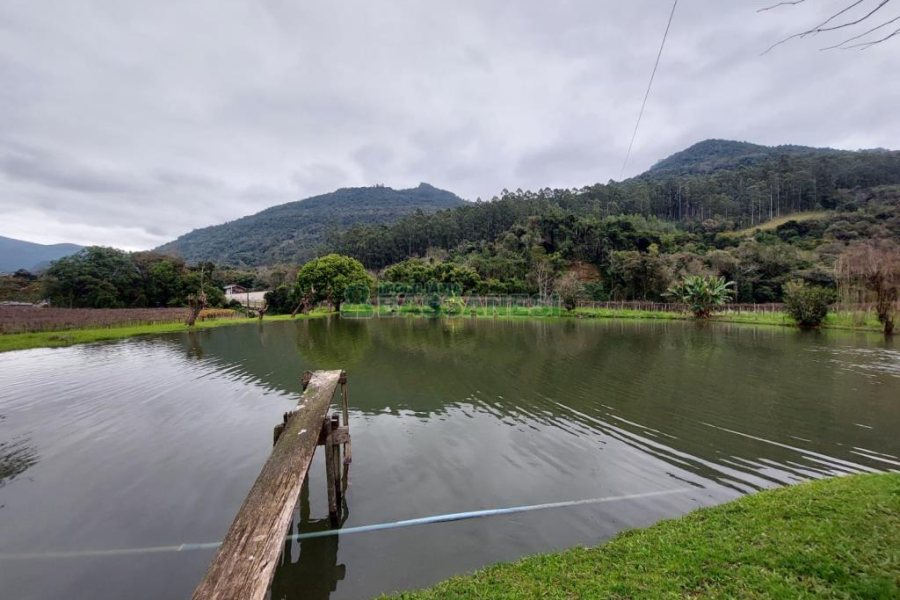 Chácara com 240000m², 4 dormitórios, no bairro Vila Cristina em Caxias do Sul para Comprar