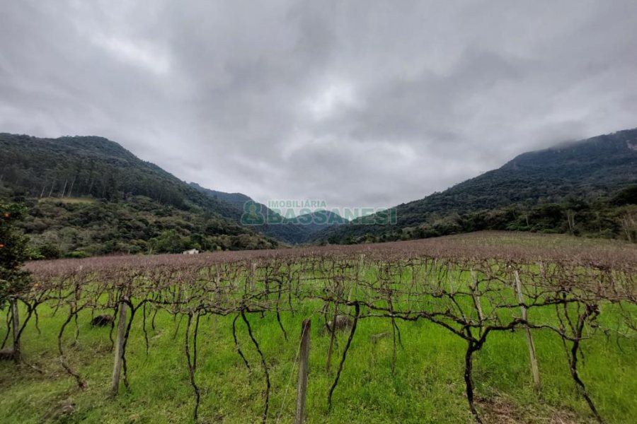 Chácara com 240000m², 4 dormitórios, no bairro Vila Cristina em Caxias do Sul para Comprar