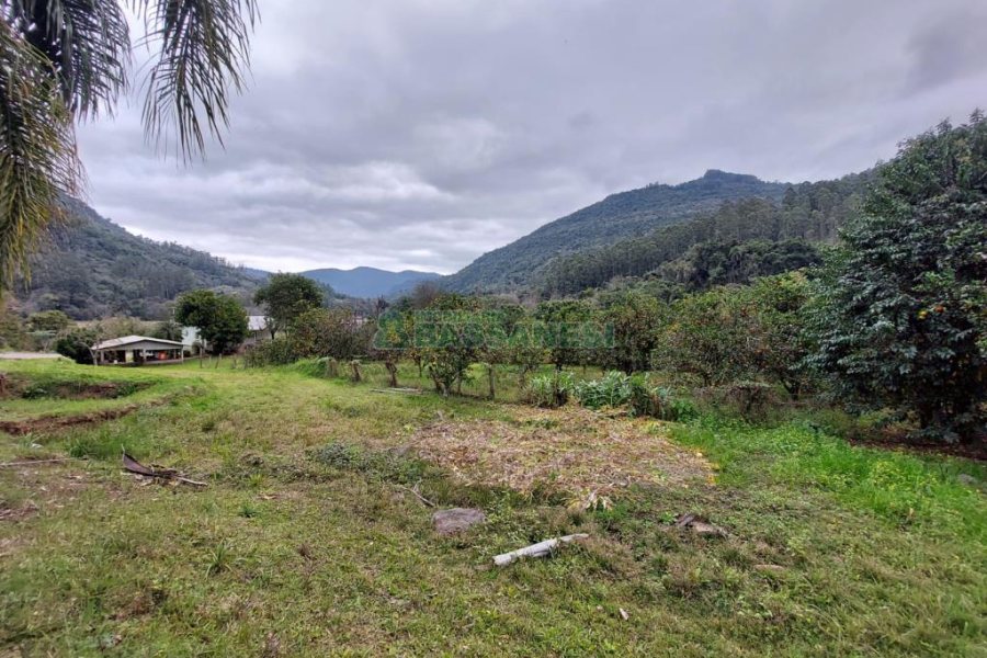 Chácara com 240000m², 4 dormitórios, no bairro Vila Cristina em Caxias do Sul para Comprar