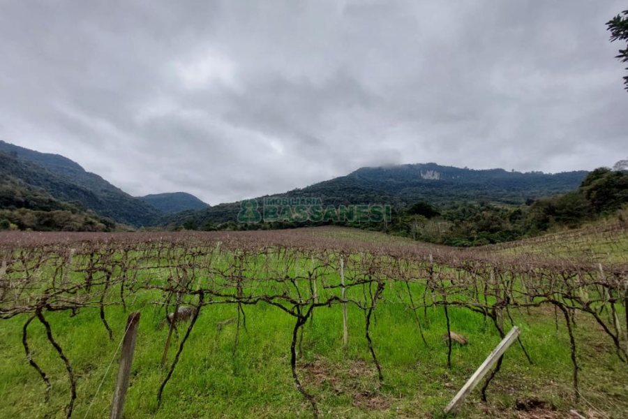 Chácara com 240000m², 4 dormitórios, no bairro Vila Cristina em Caxias do Sul para Comprar