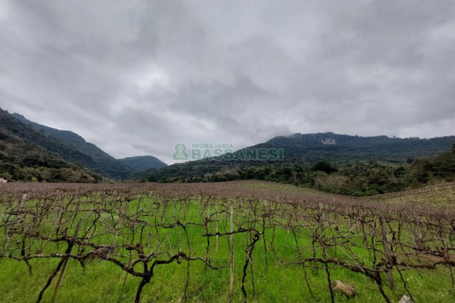 Chácara com 240000m², 4 dormitórios, no bairro Vila Cristina em Caxias do Sul para Comprar