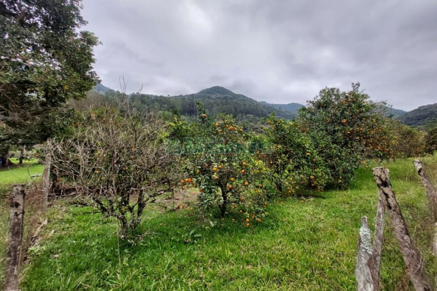 Chácara com 240000m², 4 dormitórios, no bairro Vila Cristina em Caxias do Sul para Comprar