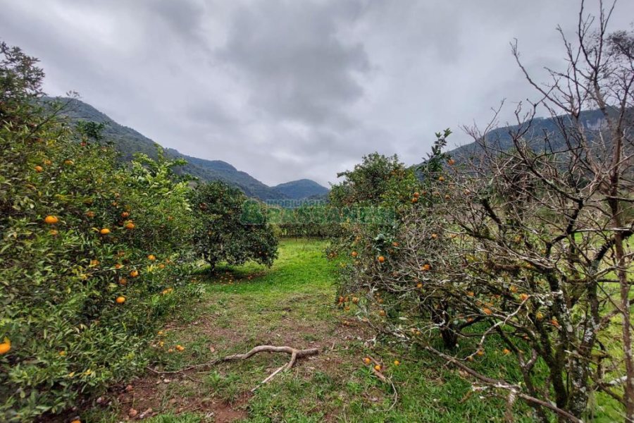 Chácara com 240000m², 4 dormitórios, no bairro Vila Cristina em Caxias do Sul para Comprar