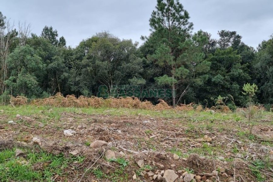 Terreno com 360m², no bairro Parada Cristal em Caxias do Sul para Comprar