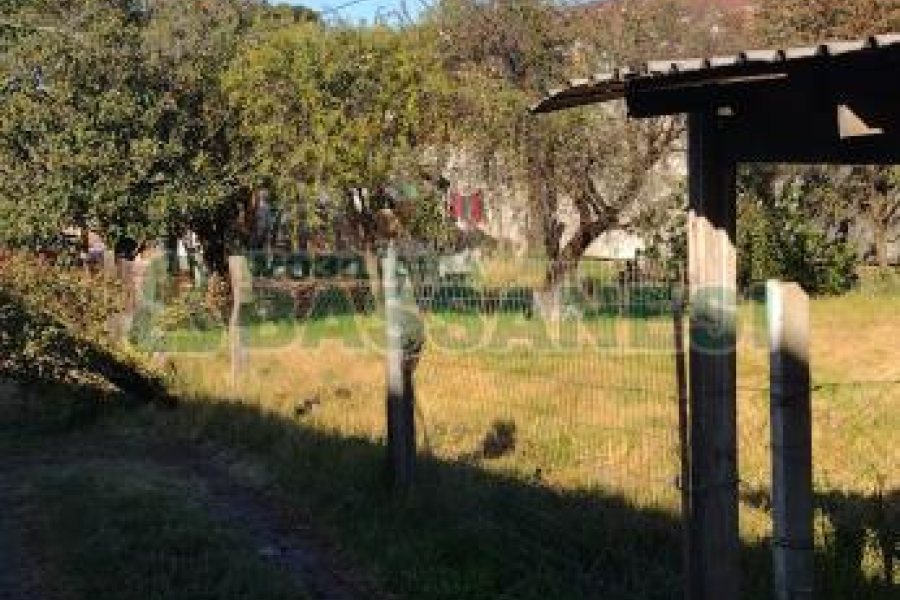 Casa com 3966m², 3 dormitórios, no bairro Esplanada em Caxias do Sul para Comprar