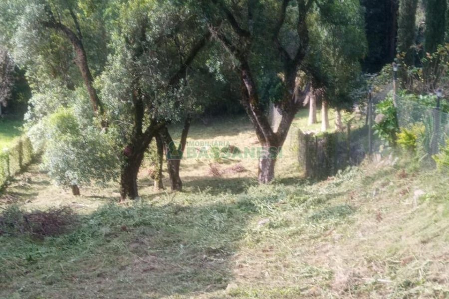 Terreno com 950m², no bairro Linha 40 em Caxias do Sul para Comprar