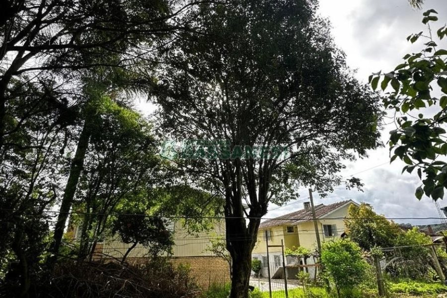 Casa com 200m², 2 dormitórios, 1 vaga, no bairro Santa Catarina em Caxias do Sul para Comprar