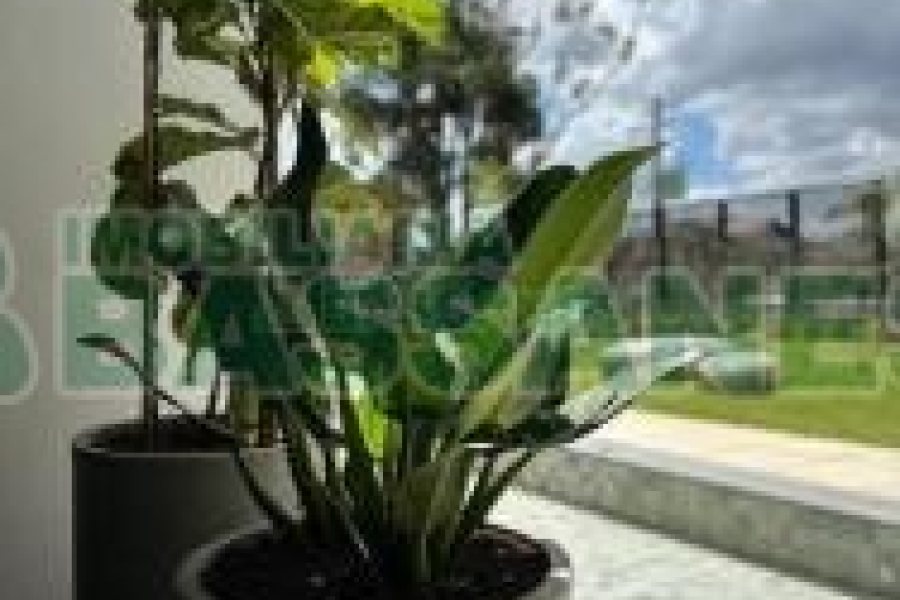 Apto Mobiliado com 110m², 3 dormitórios, 2 vagas, no bairro Petrópolis em Caxias do Sul para Alugar