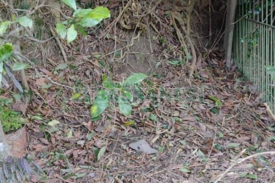 Casa com 242m², 3 dormitórios, 2 vagas, no bairro Forqueta em Caxias do Sul para Comprar