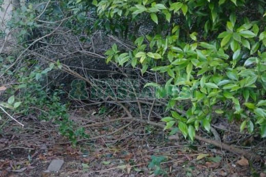 Casa com 242m², 3 dormitórios, 2 vagas, no bairro Forqueta em Caxias do Sul para Comprar