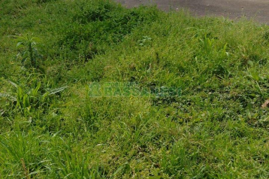Terreno com 880m², no bairro Pio X em Caxias do Sul para Comprar