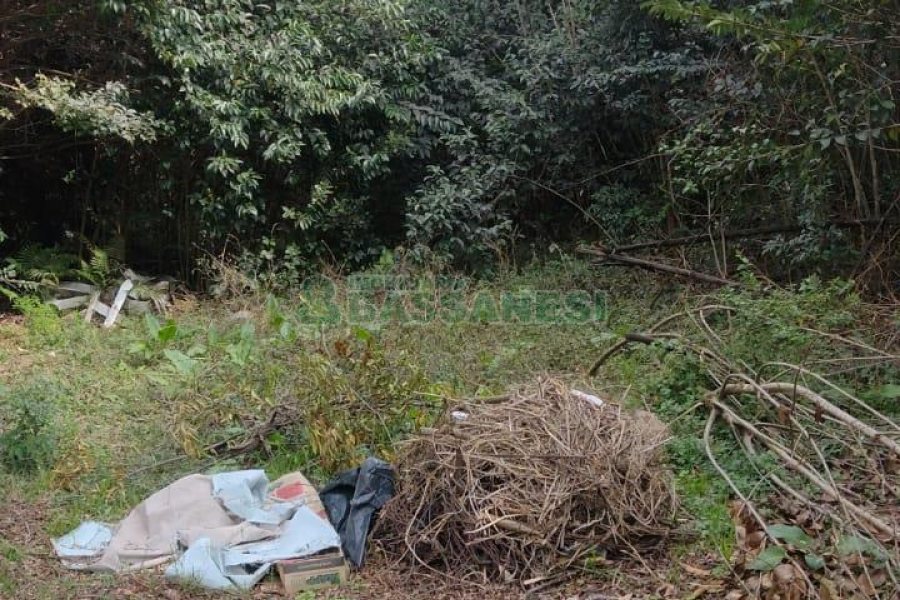 Terreno com 880m², no bairro Pio X em Caxias do Sul para Comprar