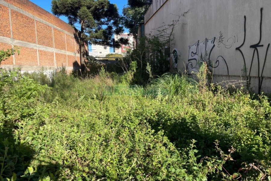 Terreno, no bairro Rio Branco em Caxias do Sul para Comprar