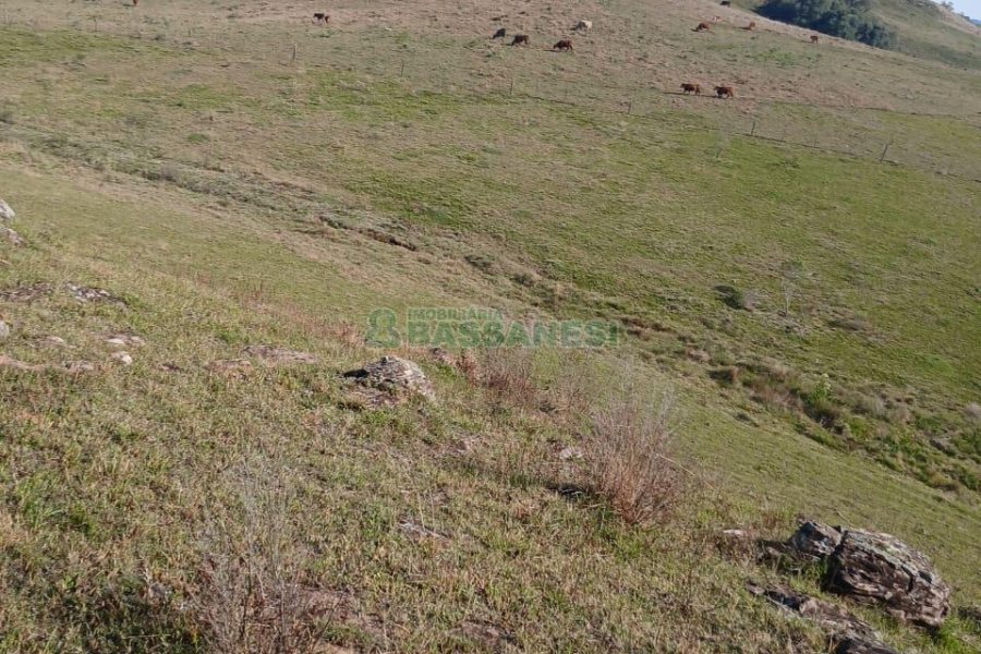 Chácara, no bairro Apanhador em Caxias do Sul para Comprar