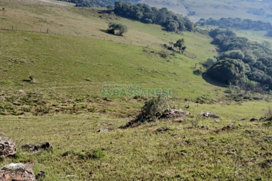 Chácara, no bairro Apanhador em Caxias do Sul para Comprar