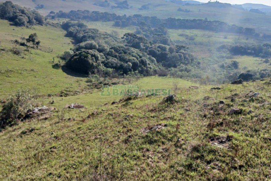 Chácara, no bairro Apanhador em Caxias do Sul para Comprar