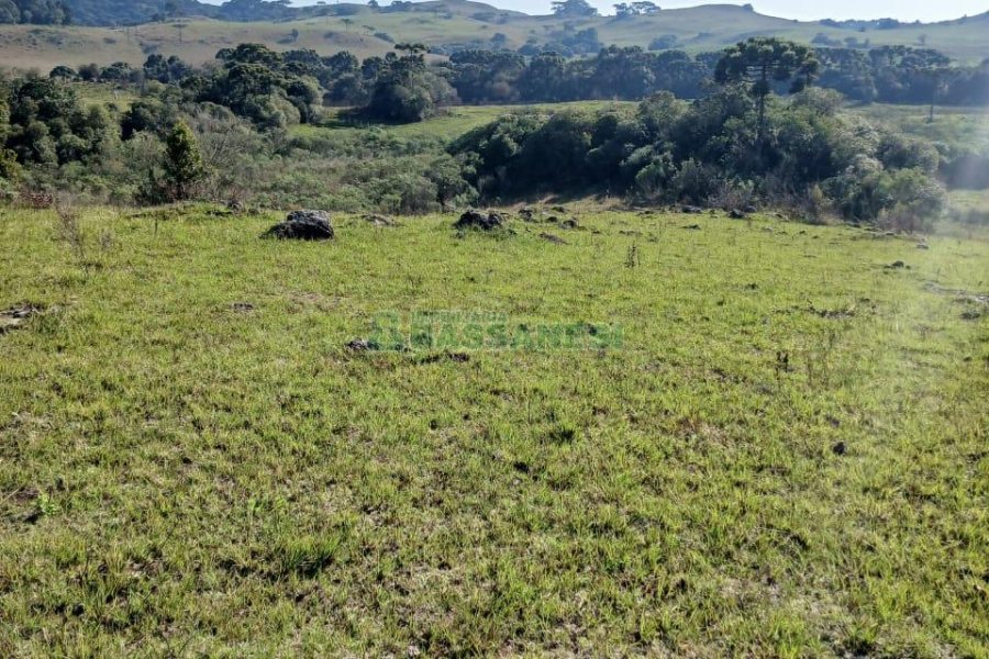 Chácara, no bairro Apanhador em Caxias do Sul para Comprar