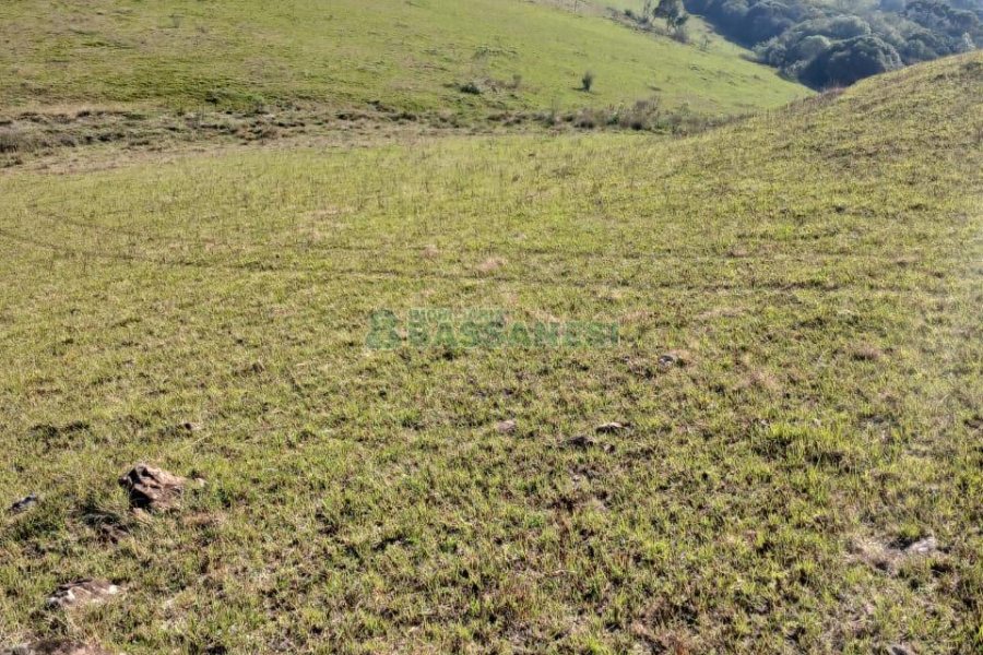 Chácara, no bairro Apanhador em Caxias do Sul para Comprar