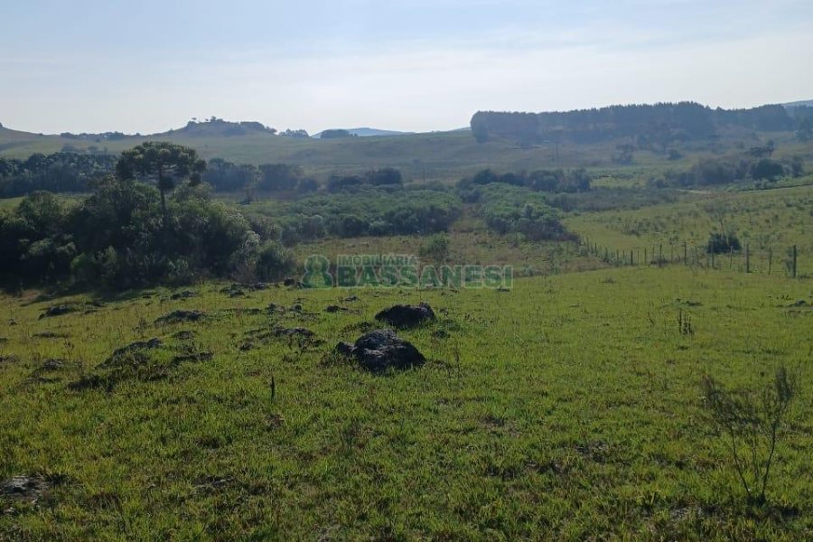 Chácara, no bairro Apanhador em Caxias do Sul para Comprar